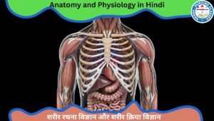 anatomy and physiology in hindi, human anatomy and physiology in hindi, antomy and physiology in hindi, anatomy and physiology gnm 1st year in hindi, introduction of anatomy and physiology in hindi
