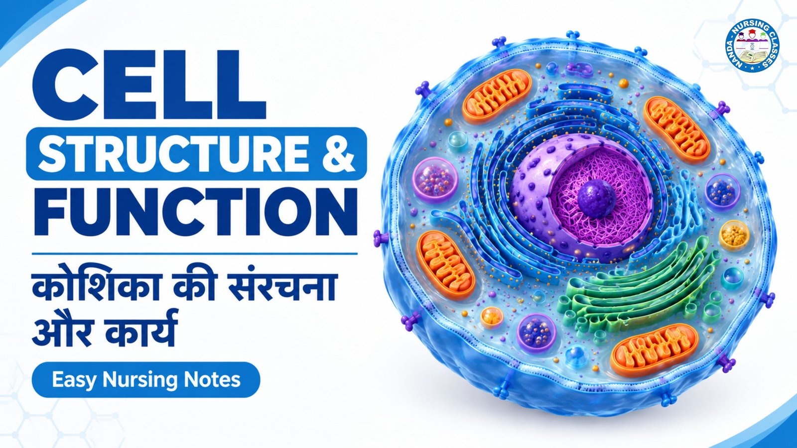 कोशिका की संरचना का सचित्र वर्णन, cell of human body, human body, cell, human cell, cell structure, cells, what are cells in human body, cell membrane, type of cell in human body, cell structure and function, human body cells, cell in the human body, science of human body, human cell diagram, human biology, cell biology, human cell structure, cell division, inside of human cell, types of human cells, body, beginnings of human cells, parts and functions of human body, parts of a cell, human parts of body for kids, हम आज Cell / कोशिका के बारे में जानेंगे जो के मानव शरीर कि संरचना का कोशिकीय स्तर है तो आइय्ये मिलकर समझते है कोशिका की संरचना का सचित्र वर्णन Cell structure in Hindi.